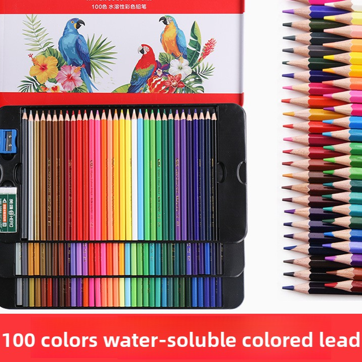 Water Soluble Oil Based Colored Pencils Art Drawing