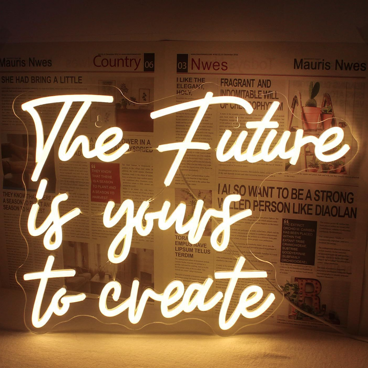 Custom LED Neon Light Sign