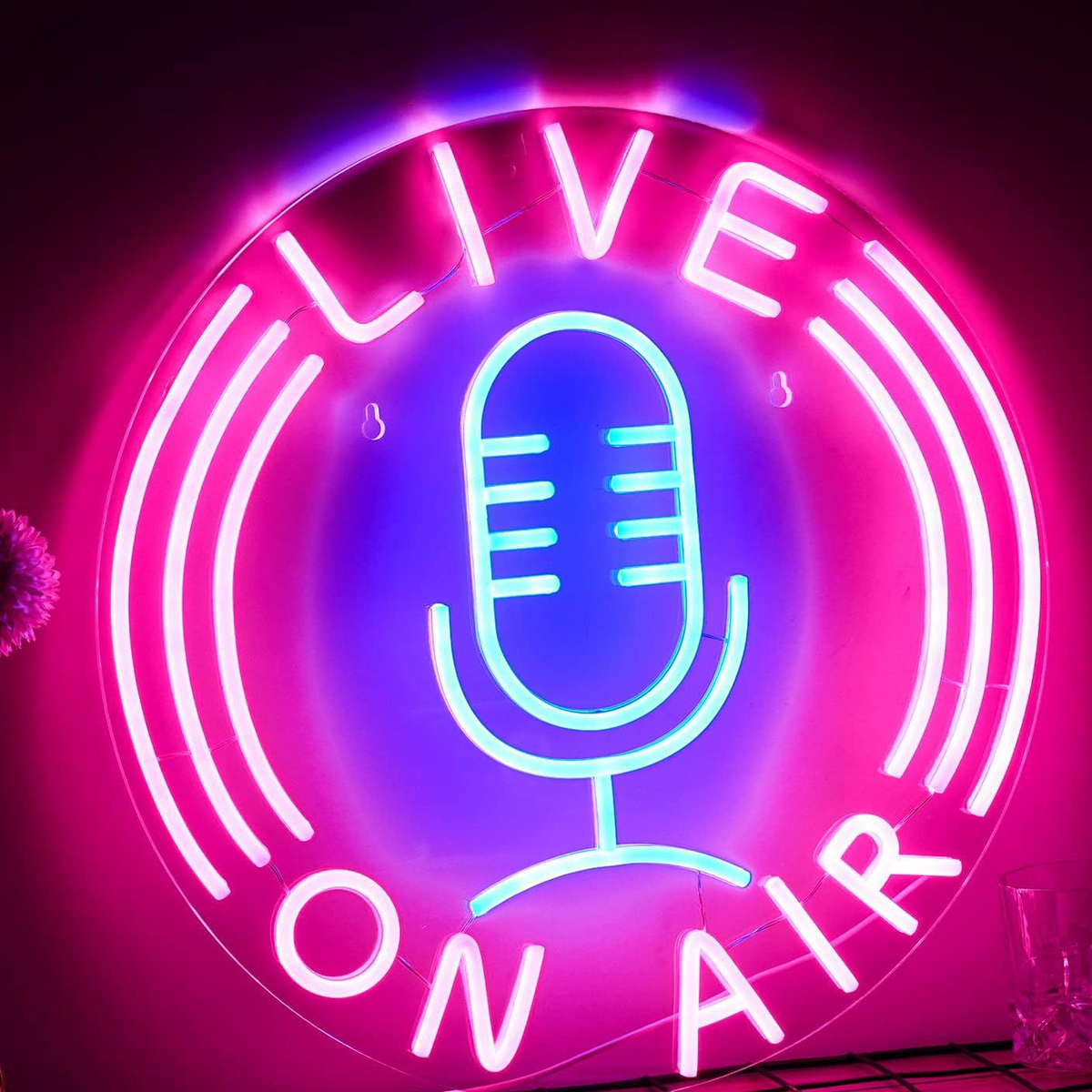Custom LED Neon Light Sign