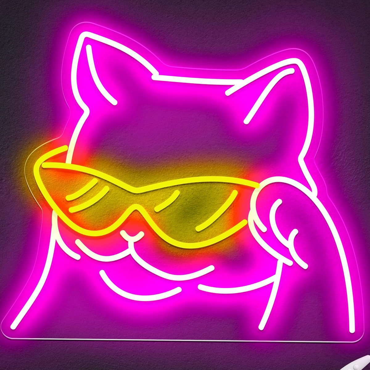 Custom LED Neon Light Sign